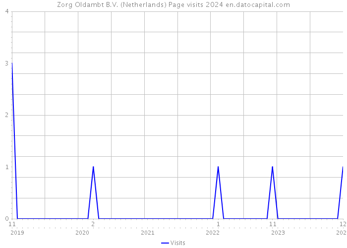 Zorg Oldambt B.V. (Netherlands) Page visits 2024 