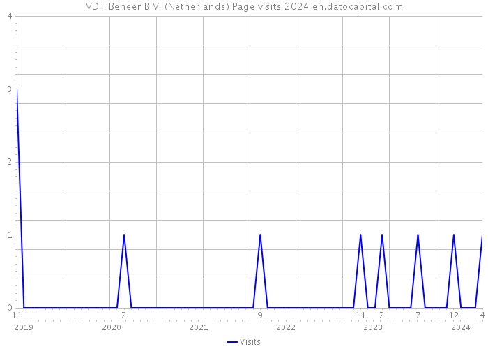 VDH Beheer B.V. (Netherlands) Page visits 2024 