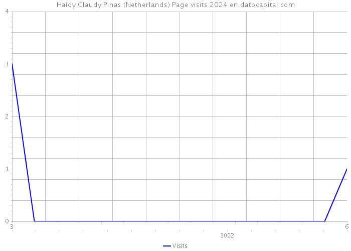 Haidy Claudy Pinas (Netherlands) Page visits 2024 