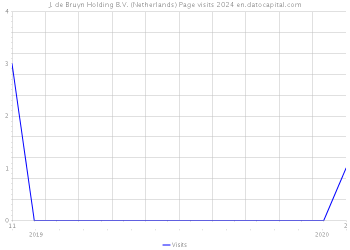 J. de Bruyn Holding B.V. (Netherlands) Page visits 2024 