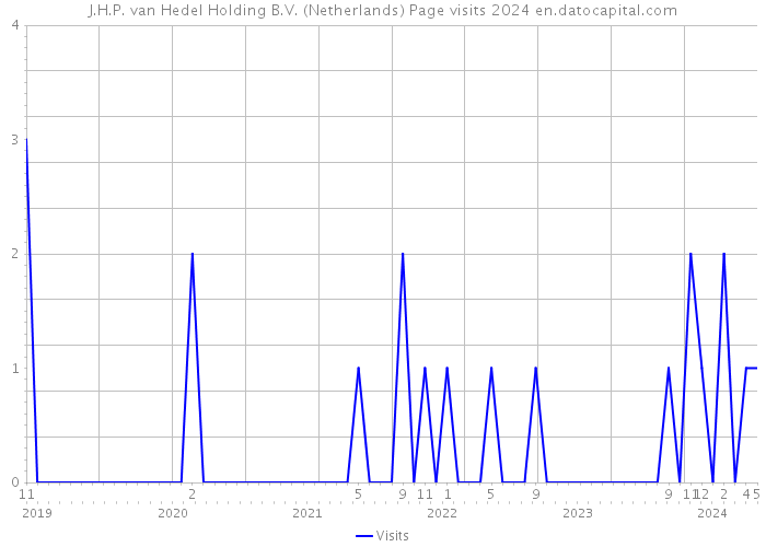 J.H.P. van Hedel Holding B.V. (Netherlands) Page visits 2024 