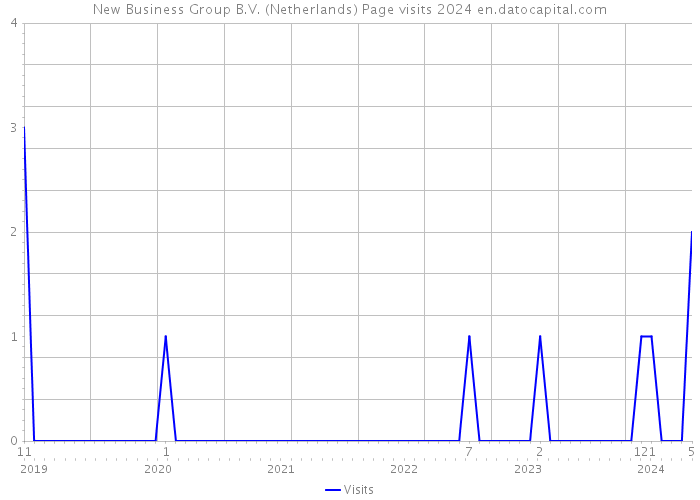 New Business Group B.V. (Netherlands) Page visits 2024 