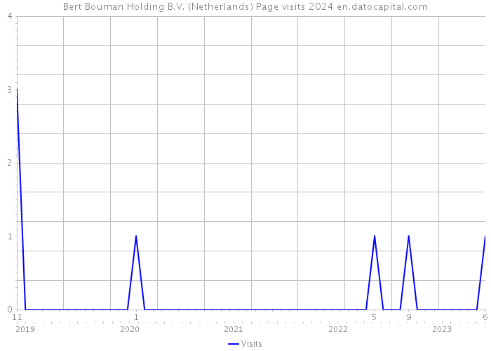 Bert Bouman Holding B.V. (Netherlands) Page visits 2024 