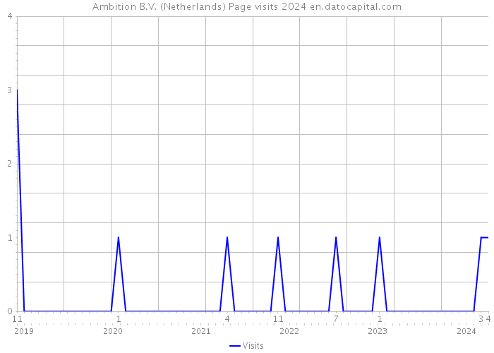 Ambition B.V. (Netherlands) Page visits 2024 
