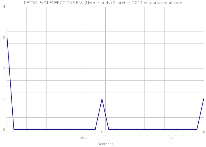 PETROLEUM ENERGY GAS B.V. (Netherlands) Searches 2024 