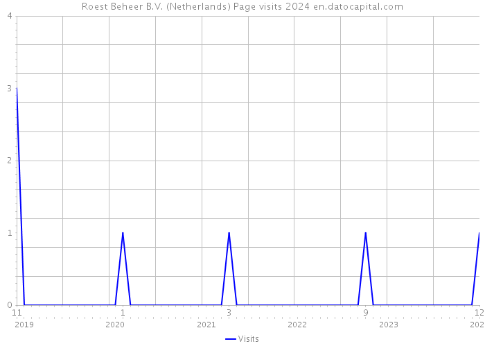 Roest Beheer B.V. (Netherlands) Page visits 2024 