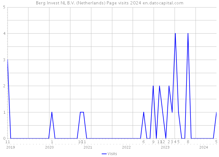 Berg Invest NL B.V. (Netherlands) Page visits 2024 