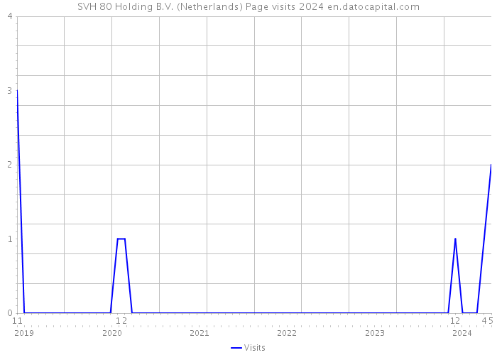 SVH 80 Holding B.V. (Netherlands) Page visits 2024 