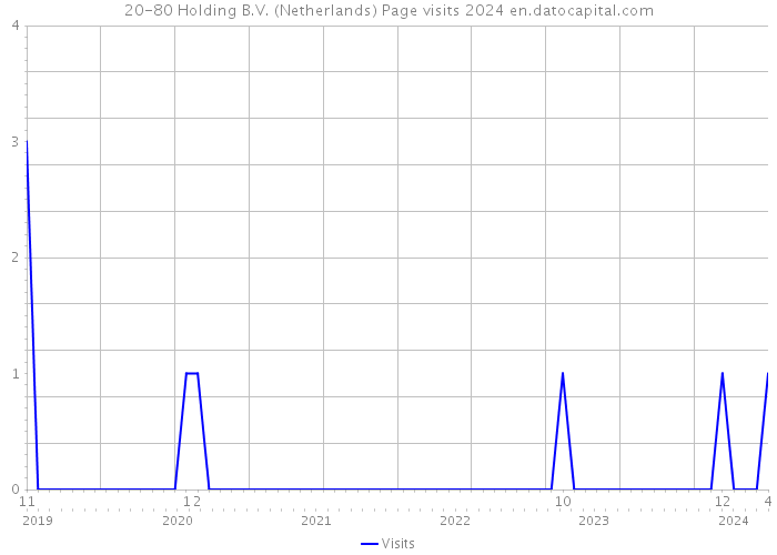 20-80 Holding B.V. (Netherlands) Page visits 2024 