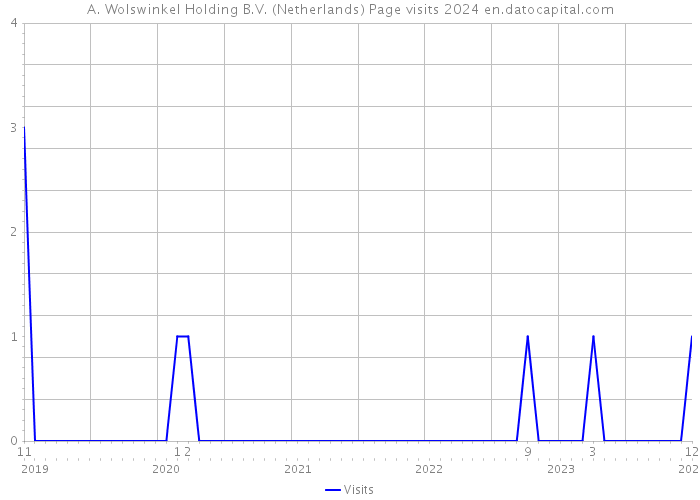 A. Wolswinkel Holding B.V. (Netherlands) Page visits 2024 