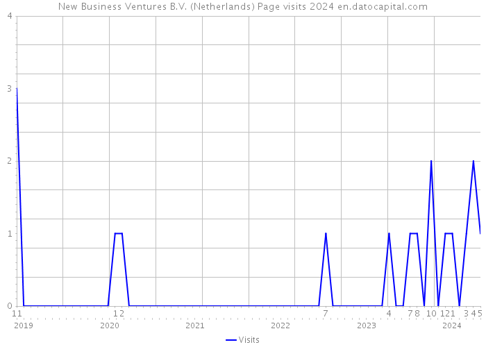 New Business Ventures B.V. (Netherlands) Page visits 2024 