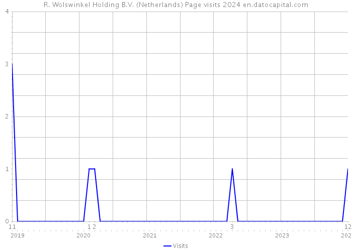 R. Wolswinkel Holding B.V. (Netherlands) Page visits 2024 