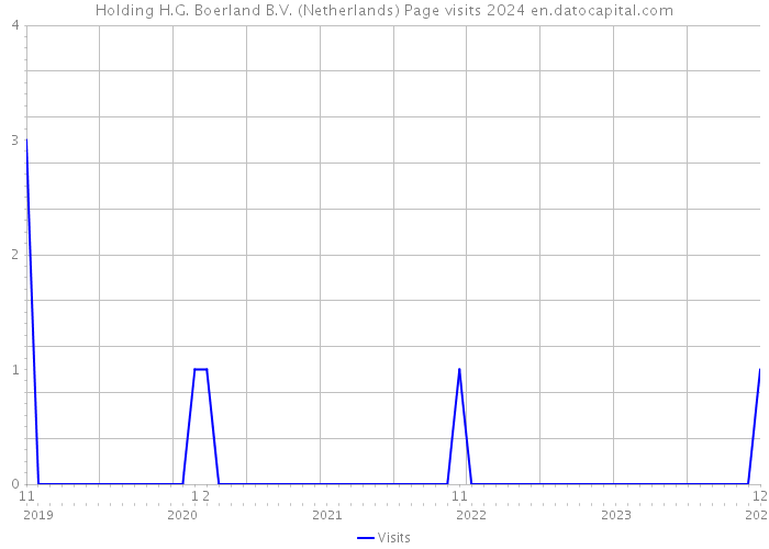 Holding H.G. Boerland B.V. (Netherlands) Page visits 2024 