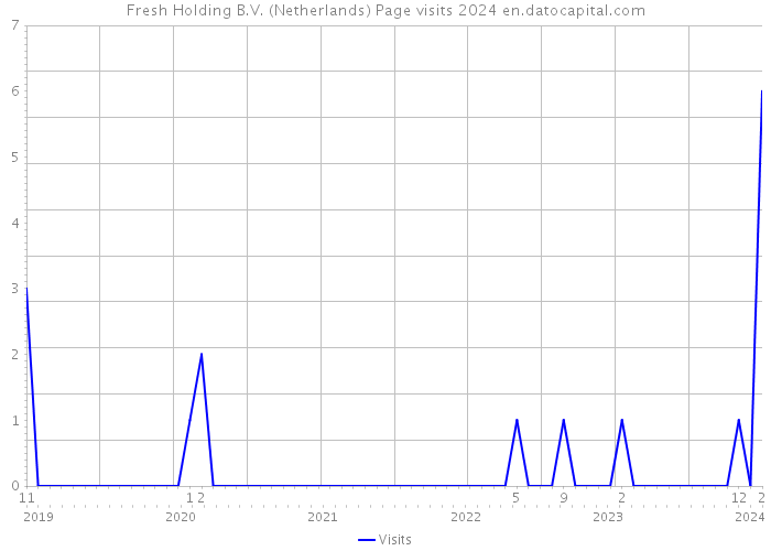 Fresh Holding B.V. (Netherlands) Page visits 2024 