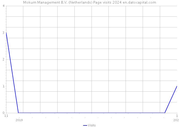 Mokum Management B.V. (Netherlands) Page visits 2024 