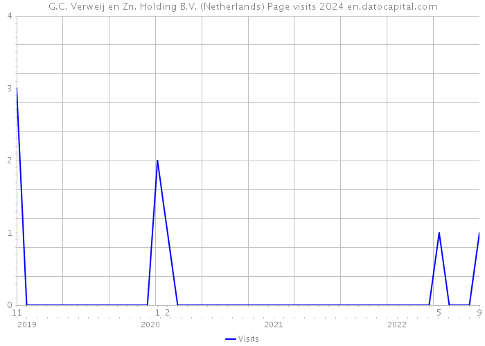 G.C. Verweij en Zn. Holding B.V. (Netherlands) Page visits 2024 