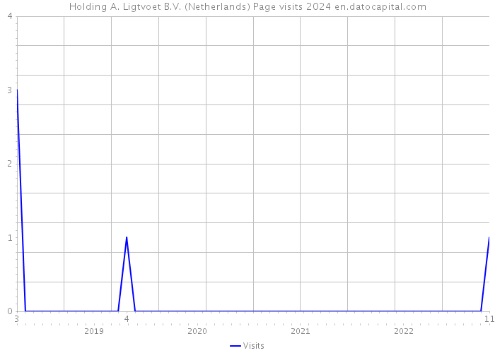 Holding A. Ligtvoet B.V. (Netherlands) Page visits 2024 