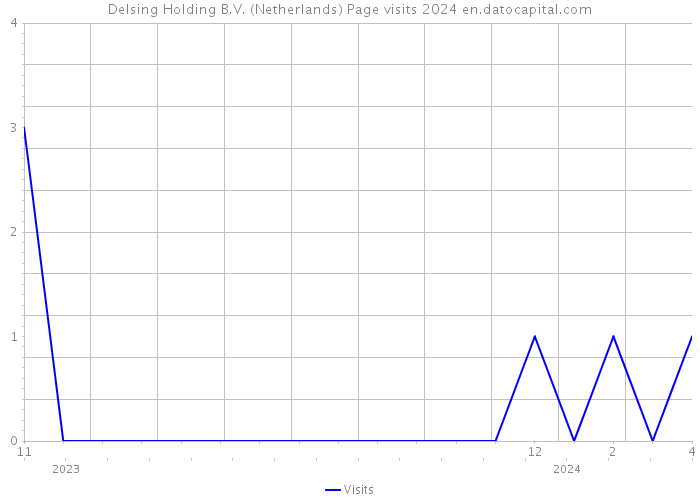 Delsing Holding B.V. (Netherlands) Page visits 2024 