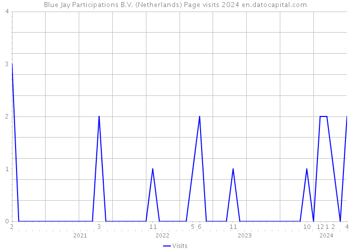 Blue Jay Participations B.V. (Netherlands) Page visits 2024 