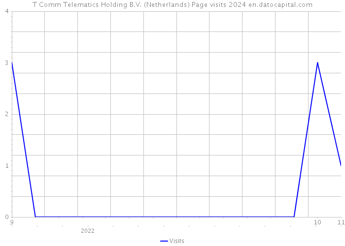 T Comm Telematics Holding B.V. (Netherlands) Page visits 2024 