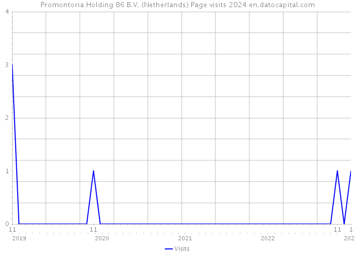Promontoria Holding 86 B.V. (Netherlands) Page visits 2024 