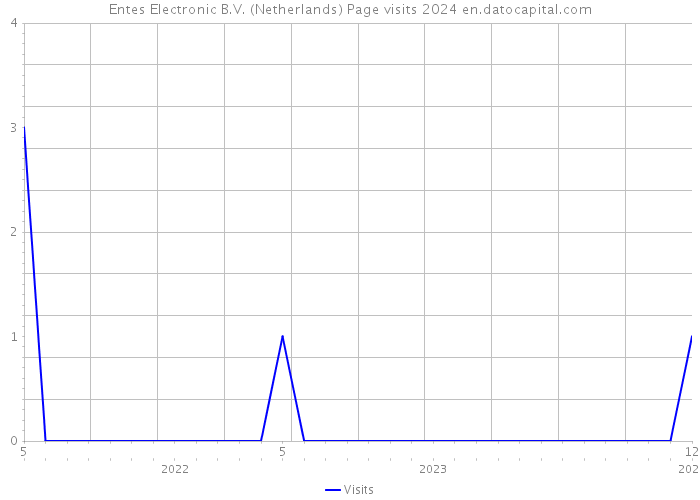 Entes Electronic B.V. (Netherlands) Page visits 2024 