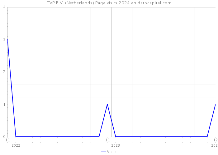 TVP B.V. (Netherlands) Page visits 2024 