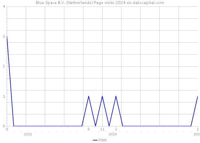 Blue Space B.V. (Netherlands) Page visits 2024 