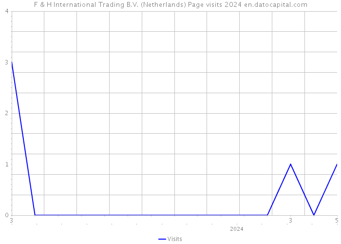 F & H International Trading B.V. (Netherlands) Page visits 2024 
