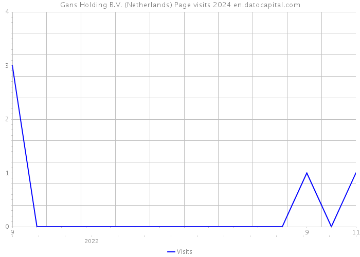 Gans Holding B.V. (Netherlands) Page visits 2024 