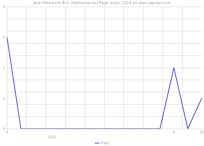 Jack Meerkerk B.V. (Netherlands) Page visits 2024 