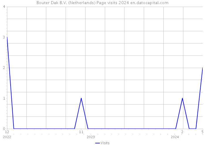 Bouter Dak B.V. (Netherlands) Page visits 2024 