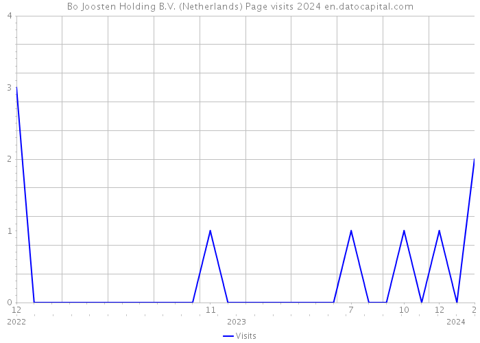 Bo Joosten Holding B.V. (Netherlands) Page visits 2024 