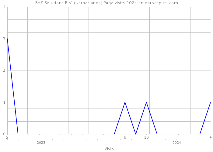 BAS Solutions B.V. (Netherlands) Page visits 2024 