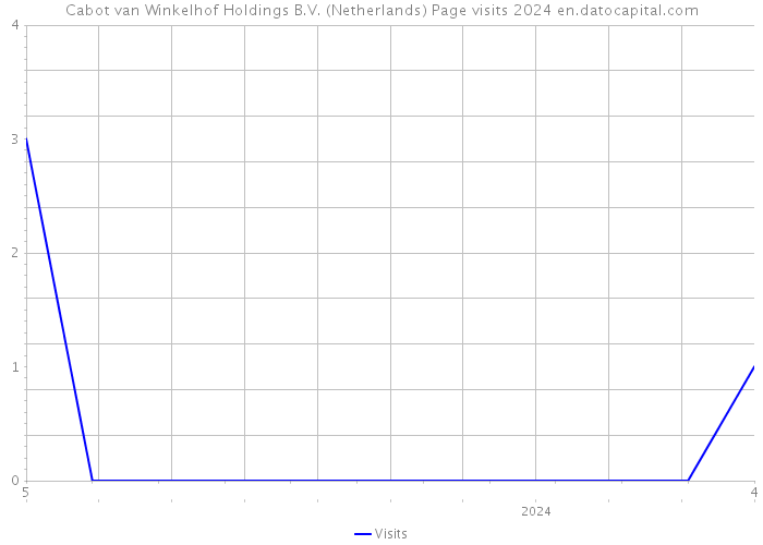 Cabot van Winkelhof Holdings B.V. (Netherlands) Page visits 2024 