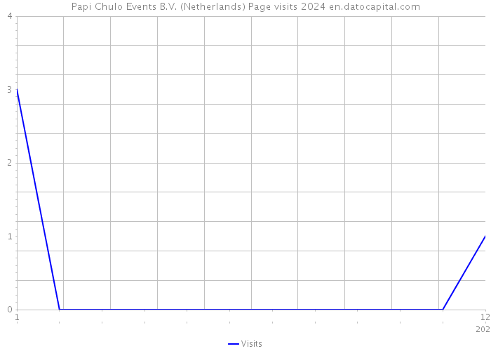 Papi Chulo Events B.V. (Netherlands) Page visits 2024 