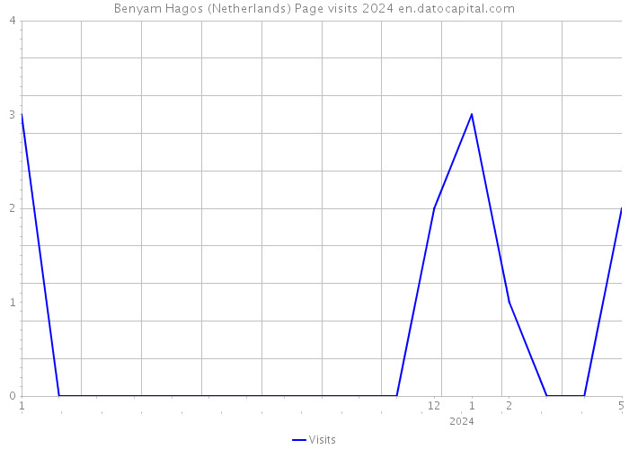 Benyam Hagos (Netherlands) Page visits 2024 