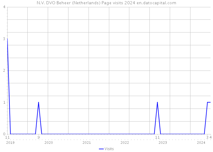 N.V. DVO Beheer (Netherlands) Page visits 2024 