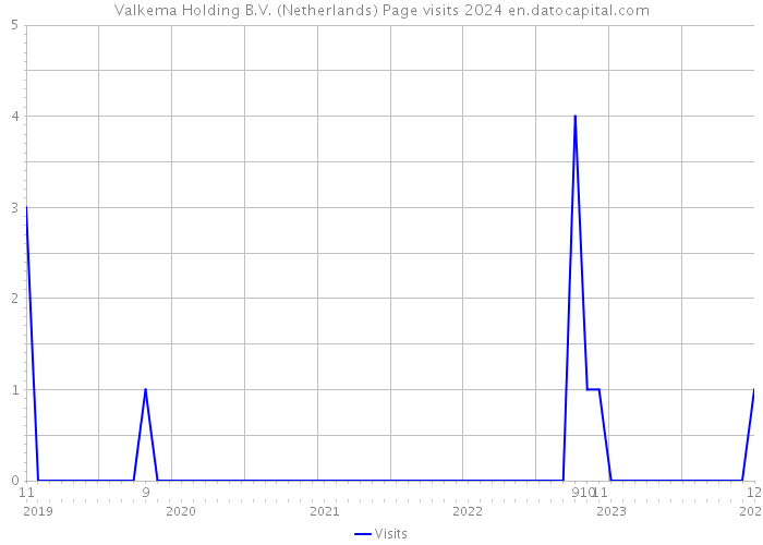 Valkema Holding B.V. (Netherlands) Page visits 2024 