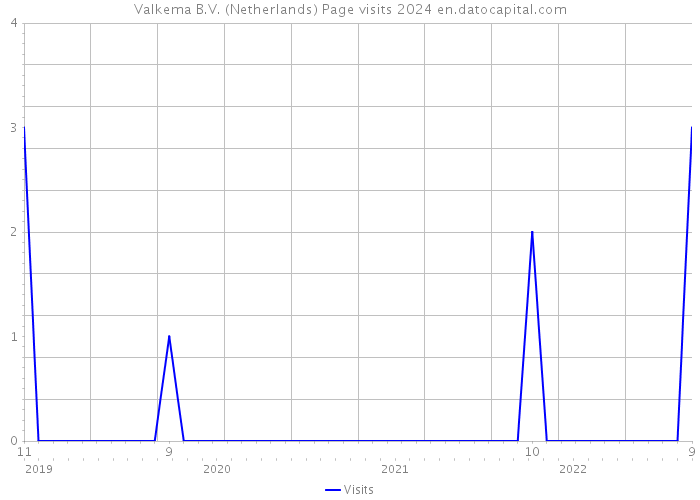 Valkema B.V. (Netherlands) Page visits 2024 