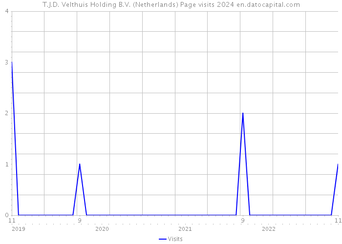 T.J.D. Velthuis Holding B.V. (Netherlands) Page visits 2024 