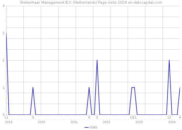 Slettenhaar Management B.V. (Netherlands) Page visits 2024 