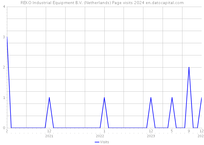 REKO Industrial Equipment B.V. (Netherlands) Page visits 2024 