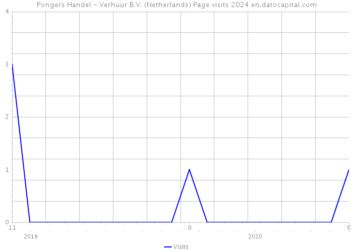 Pongers Handel - Verhuur B.V. (Netherlands) Page visits 2024 