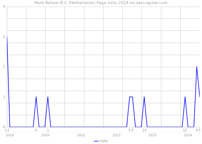 Multi Beheer B.V. (Netherlands) Page visits 2024 