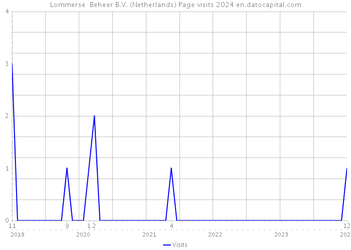 Lommerse Beheer B.V. (Netherlands) Page visits 2024 