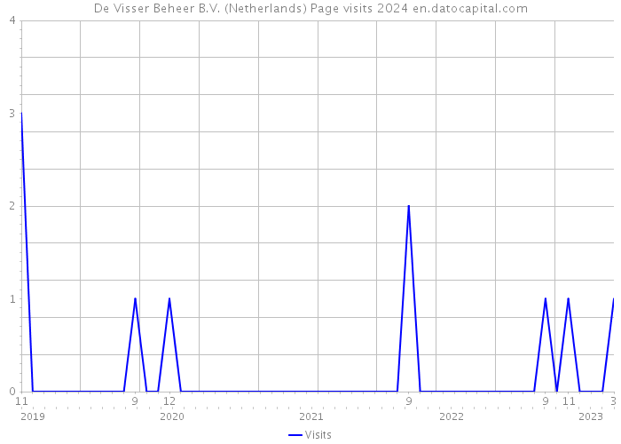 De Visser Beheer B.V. (Netherlands) Page visits 2024 
