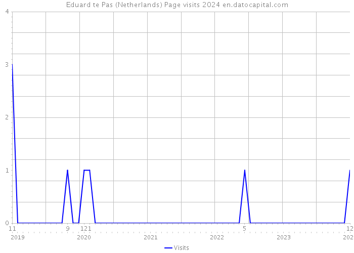 Eduard te Pas (Netherlands) Page visits 2024 