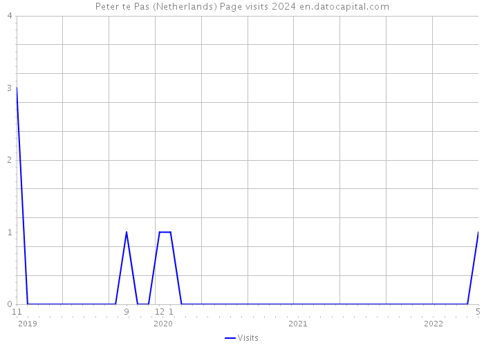 Peter te Pas (Netherlands) Page visits 2024 