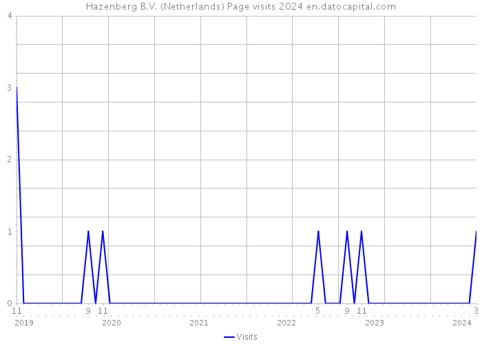 Hazenberg B.V. (Netherlands) Page visits 2024 